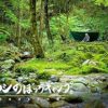 Amazon.co.jp : ヒロシのぼっちキャンプ